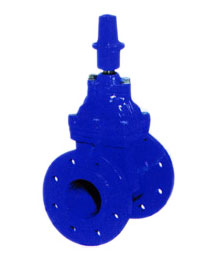 彈性座封(feng)閘閥2