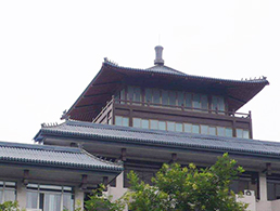 樹脂琉璃(lí)瓦案例